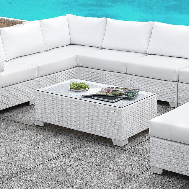 Somani U-Sectional + Coffee Table