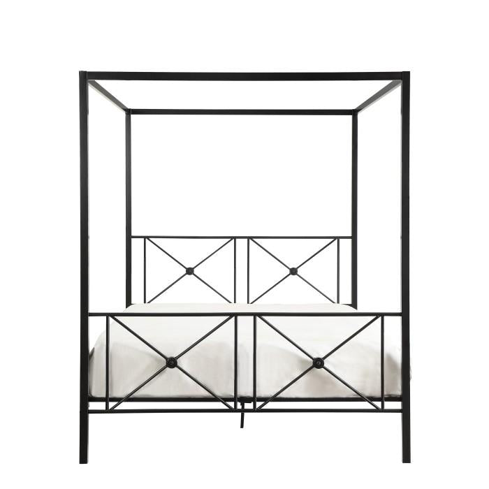 Rapa Queen Platform Bed