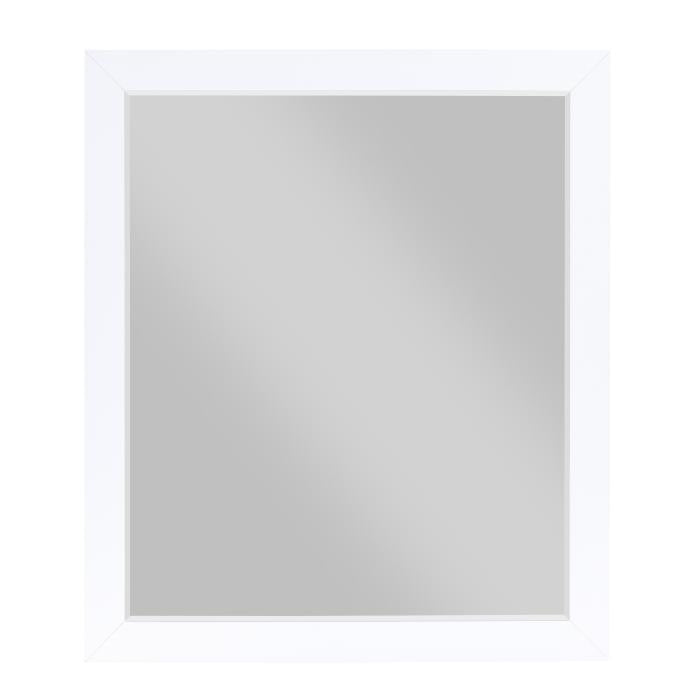 B2012-6 - Mirror