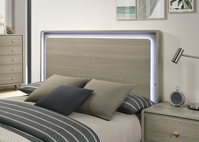 Rainier Bed Gray